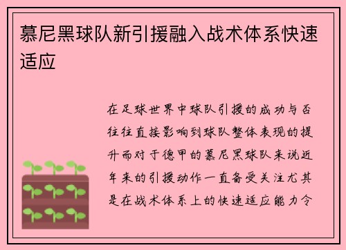 慕尼黑球队新引援融入战术体系快速适应