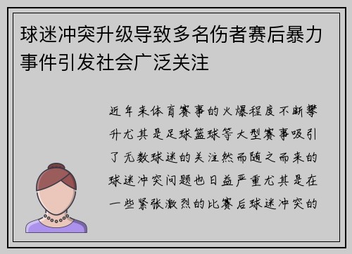 球迷冲突升级导致多名伤者赛后暴力事件引发社会广泛关注
